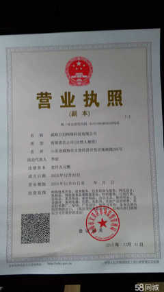 威海巨創(chuàng)網絡科技